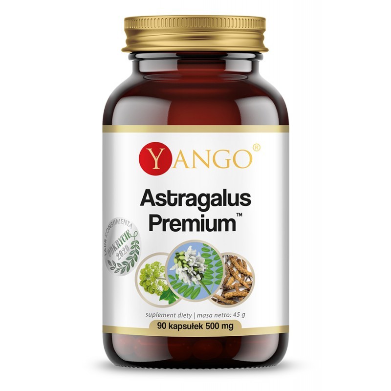 Astragalus Premium 90 kaps. Yango dzięgiel chiński Angelica sinensis kordyceps korzeń traganka Astragalus Membranaceus