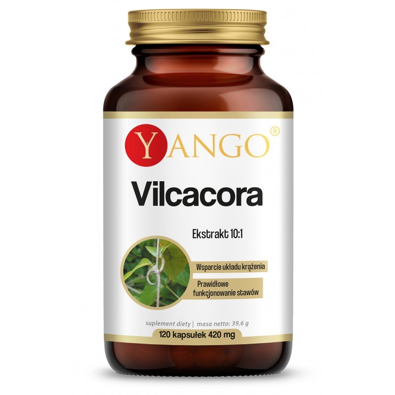 Vilcacora 120 kaps. Yango koci pazur czepota puszysta Uncaria tomentosa
