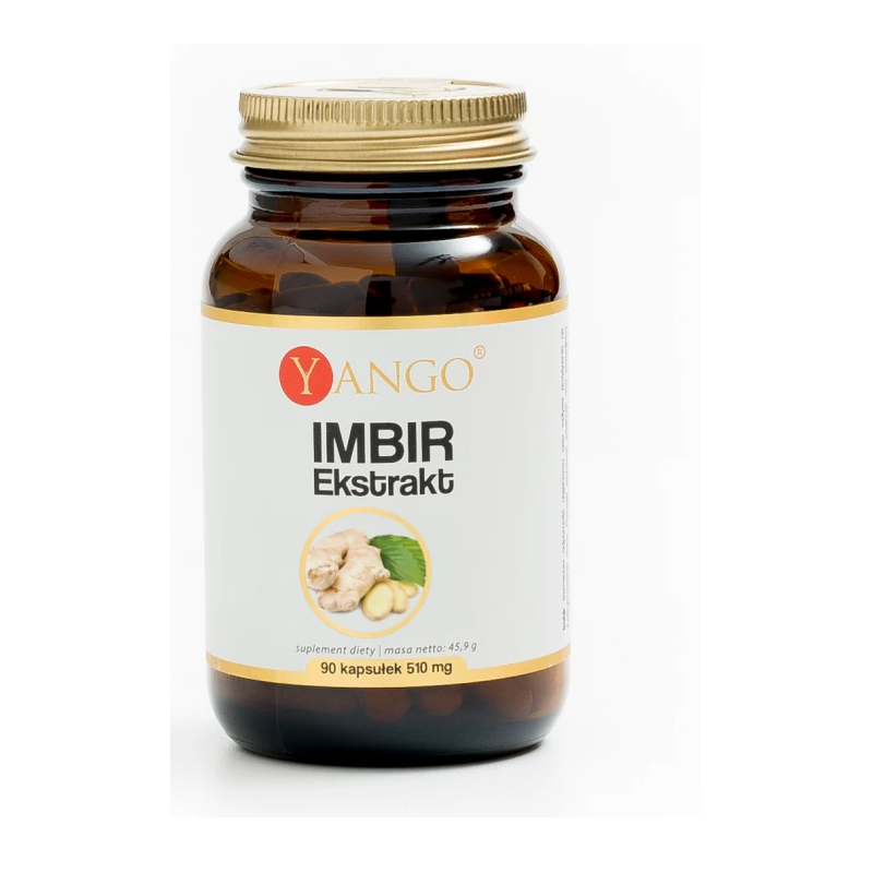 Imbir - ekstrakt - 90 kapsułek YANGO zingiberis officinale