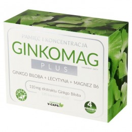 Ginkomag plus 120 kaps. Xenico Pharma ginko biloba lecytyna magnez B6