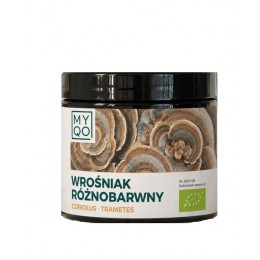 Wrośniak różnobarwny 90...
