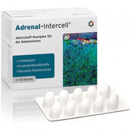 Adrenal Intercell 120 kapsułek 