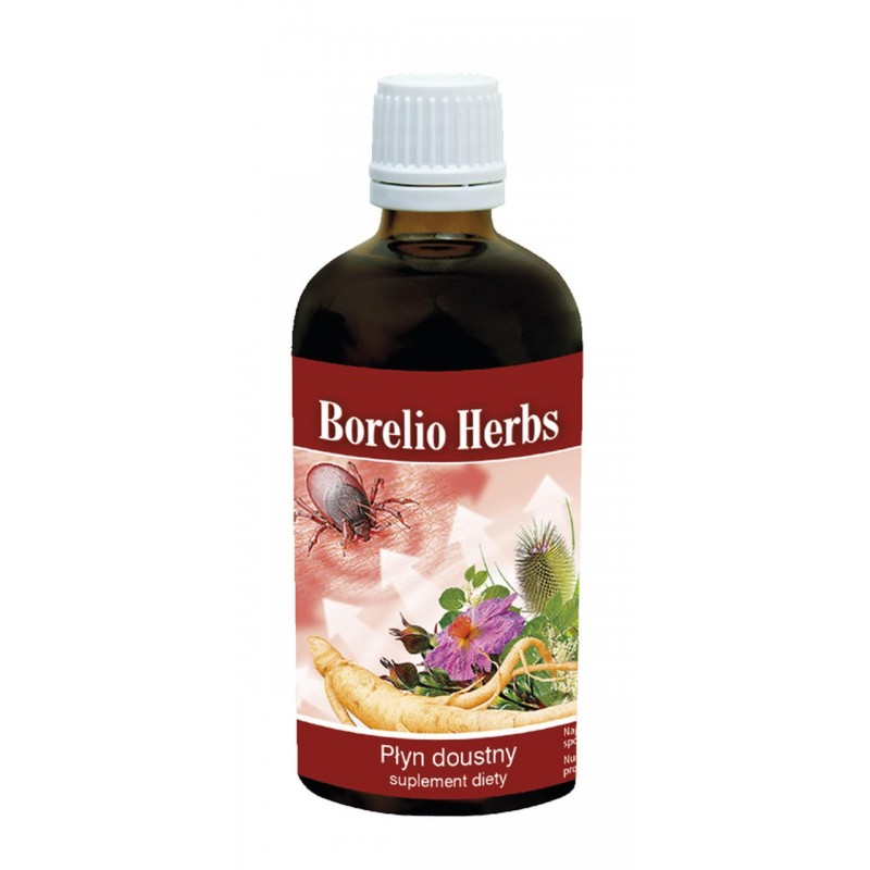Borelio Herbs 100ml borelioza rdestowiec japoński korzeń szczeci vilcacora korzeń żeń-szenia czystek